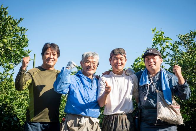 【先行予約】【数量限定】【家庭用】浅野農園の甘平（かんぺい）5kg｜柑橘 みかん ミカン フルーツ 果物 愛媛 有名 代表 高級 ※2025年2月中旬頃より順次発送予定 ※離島への配送不可