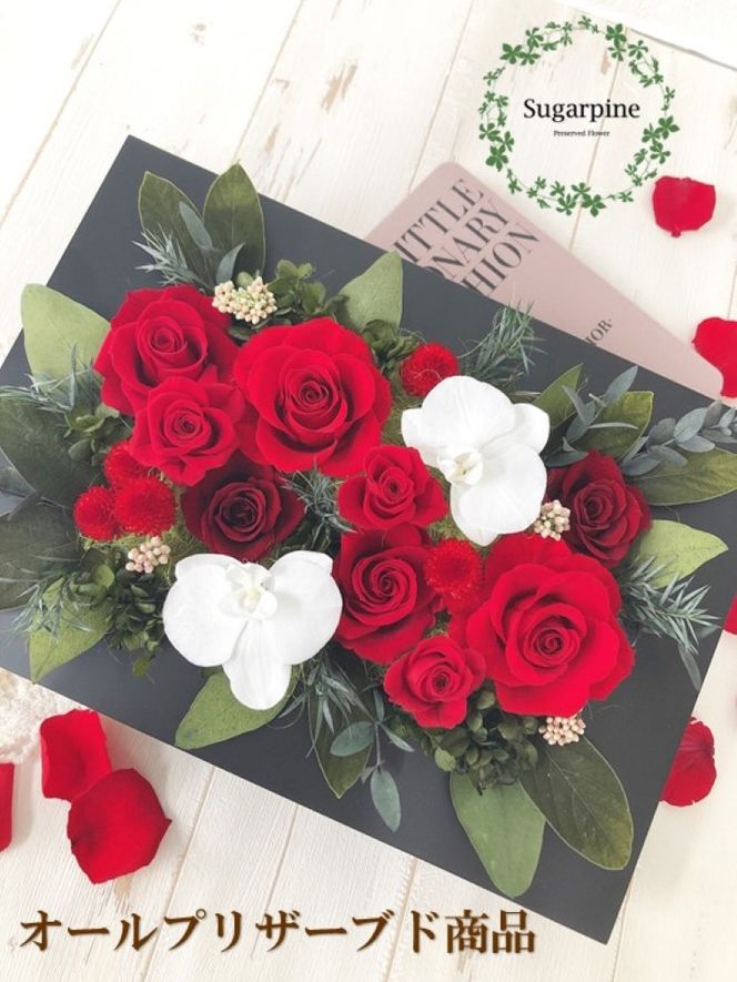 yʌtszAJ071-1 vU[uht[AWy[Wzts VK[pC