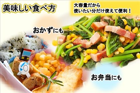 北海道 コーン 冷凍食品 1kg×2袋 セット 計2kg カーネルコーン 冷凍野菜 国産 トウモロコシ とうもろこし ホールコーン 冷凍 おかず お弁当 詰合せ お取り寄せ 送料無料 十勝 士幌町【N46】