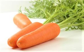 碧南市を代表するブランド人参「へきなん美人」 にんじん 10kg H017-100