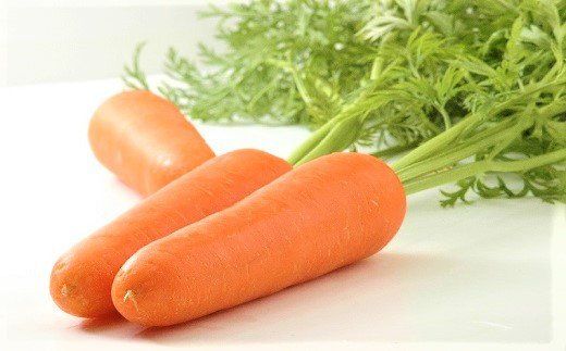 ymɓszɓs\uhlQuւȂlv ɂ񂶂 10kg H017-100