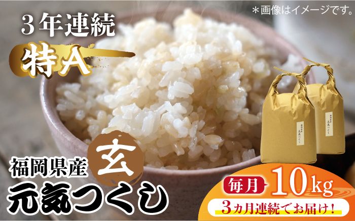 [先行予約][全3回定期便]福岡県産[特A]評価のお米「元気つくし」5kg×2袋 [10kg] [玄米][2024年11月下旬以降順次発送][築上町][株式会社ベネフィス][ABDF118]