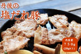 トン’sキッチン 丹後の塩だれ豚焼き肉