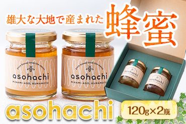 蜂蜜「asohachi」～南阿蘇からの贈り物～ 国産はちみつ（熊本県・南阿蘇産）120g×2瓶 東急リゾーツ＆ステイ株式会社　阿蘇東急ゴルフクラブ《60日以内に順次出荷(土日祝を除く)》 熊本県南阿蘇村 蜂蜜---sms_tkasohachi_60d_21_13000_2i---