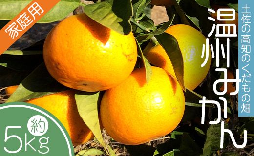 ymszy̍m̂̔ ݂(ƒp)5kg - ݂ 󂠂 ̓ ACX ݂W[X ~J kd-0025