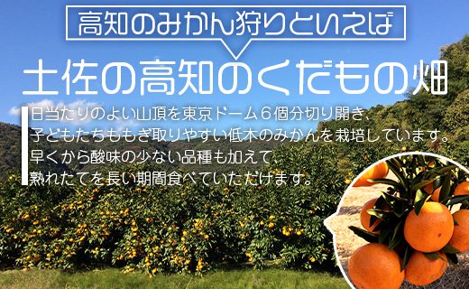 土佐の高知のくだもの畑 みかん(家庭用)5kg - みかん 訳あり 母の日 アイス みかんジュース ミカン kd-0013