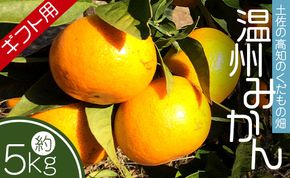 【期間限定】土佐の高知のくだもの畑 みかん（ギフト用）約5kg - 温州みかん ミカン 蜜柑 柑橘 柑橘類 フルーツ 果物 くだもの 熨斗 kd-0026