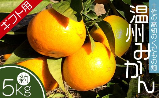 ymszyԌzy̍m̂̔ ݂iMtgpj5kg - B݂ ~J  k k t[c ʕ  l kd-0026