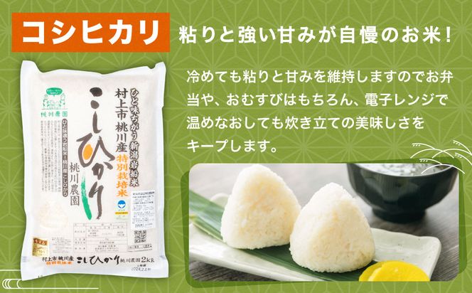 【令和7年産米】【精米即日発送】 新潟県村上市 桃川産 特別栽培 コシヒカリ 10kg　AB4038
