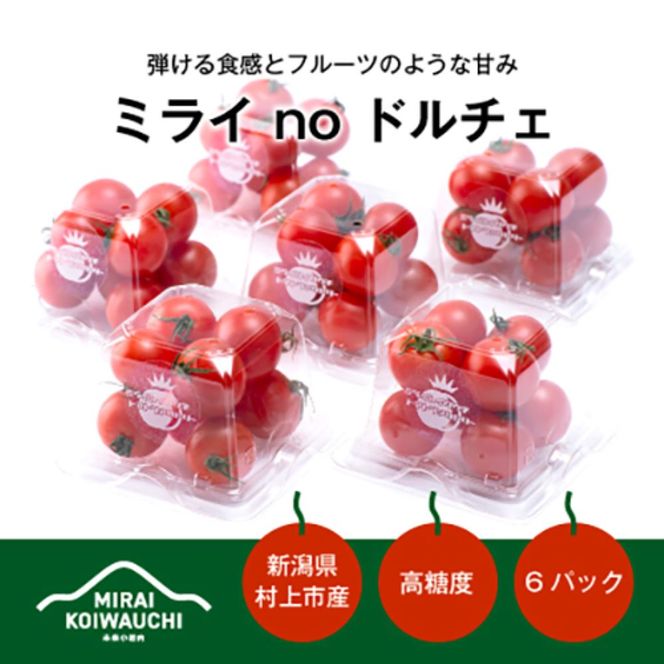 A4151 【数量・期間限定】『ミライ no ドルチェ』 新潟県村上産ミニトマト 200g程度×6パック