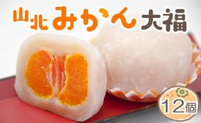 フルーツ大福 フルーツ 山北みかん大福 12個 笑顔こぼれる！ - 期間限定 和菓子 スイーツ フルーツ 武市神栄堂 送料無料 ギフト 贈り物 家庭用 みかん大好き 極甘のミカン大福 yd-0023
