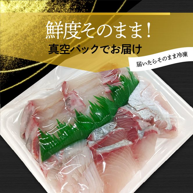 y{茧szaJp`4lO320g N072-YA0434