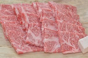 「亀岡牛」ロース 焼肉　400ｇ ☆祝！亀岡牛生産者 最優秀賞受賞（2023年）※北海道・沖縄・離島への配送不可