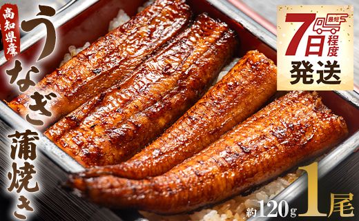 うなぎ屋きた本 うなぎ蒲焼き 1尾(約120g)(無頭) - 送料無料 鰻 ウナギ スタミナ 晩ご飯 おつまみ 丼ぶり 魚 ギフト お取り寄せグルメ 海の幸 うなぎ屋きた本 高知県 un-0013