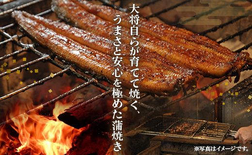 【2回定期便】うなぎ屋きた本 うなぎ蒲焼き120g 1尾(無頭) Wun-0019