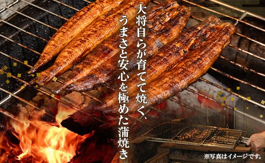 国産 うなぎ 定期便 12回 うなぎ蒲焼き&白焼き120g 1尾(無頭) 交互にお届け 魚介 国産 海鮮 魚 かばやき 鰻 惣菜 おかず お手軽 しらやき 加工品 加工食品 冷凍 Wun-0046