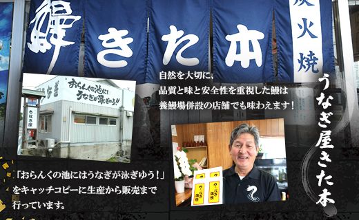 うなぎ 定期便 2回 うなぎ 蒲焼き 白焼き セット 120g 各1尾(無頭) 魚介 国産 海鮮 魚 かばやき 鰻 ウナギ 惣菜 おかず お手軽 しらやき 加工品 加工食品 冷凍 Wun-0051