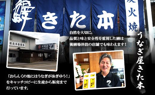 うなぎ屋きた本 うなぎ白焼き 3尾(合計約360g)(無頭) 【7日程度で発送】 - 送料無料 鰻 ウナギ おかず 山椒塩 のし ギフト 贈答 贈り物 プレゼント 丑の日 うなぎ屋きた本 高知県 香南市 un-0088