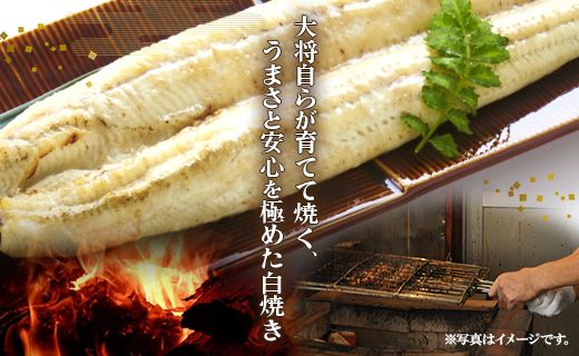 【2回定期便】 国産 うなぎ 白焼き 120g 1尾(無頭) うなぎ 魚介 国産 海鮮 魚 かばやき 鰻 ウナギ 惣菜 おかず お手軽 加工品 加工食品 冷凍 Wun-0031