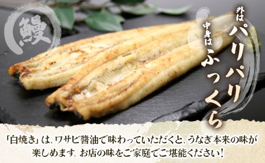 うなぎ 定期便 2回 うなぎ 蒲焼き 白焼き セット 120g 各1尾(無頭) 魚介 国産 海鮮 魚 かばやき 鰻 ウナギ 惣菜 おかず お手軽 しらやき 加工品 加工食品 冷凍 Wun-0051