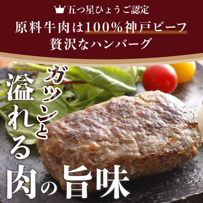 五つ星ひょうご認定特製神戸ビーフハンバーグセット（100g×5個入り）【2401I00601】