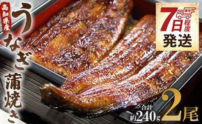 うなぎ 蒲焼き 国産 120g 2尾 鰻 うなぎ蒲焼 おいしい 冷凍 無頭 セット うなぎ屋きた本 - ウナギ 鰻 うなぎ大好き 夕飯 贅沢 贈答 お礼 惣菜 魚介 加工品 加工食品 un-0014