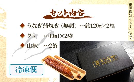 うなぎ 定期便 3回 うなぎ蒲焼き120g 2尾(無頭) 魚介 国産 海鮮 魚 かばやき 鰻 ウナギ 惣菜 おかず お手軽 加工品 加工食品 冷凍 Wun-0024
