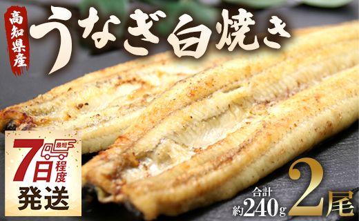 うなぎ白焼き 2尾(合計約240g) 無頭 うなぎ屋きた本 - 送料無料 鰻 ウナギ 魚介 惣菜 ギフト のし 贈り物 プレゼント 贈答 丑の日 うなぎ屋きた本 高知県 香南市 冷凍 un-0017