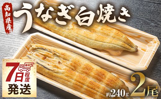 うなぎ白焼き 2尾(合計約240g) 無頭 うなぎ屋きた本 - 送料無料 鰻 ウナギ 魚介 惣菜 ギフト のし 贈り物 プレゼント 贈答 丑の日 うなぎ屋きた本 高知県 香南市 冷凍 un-0017