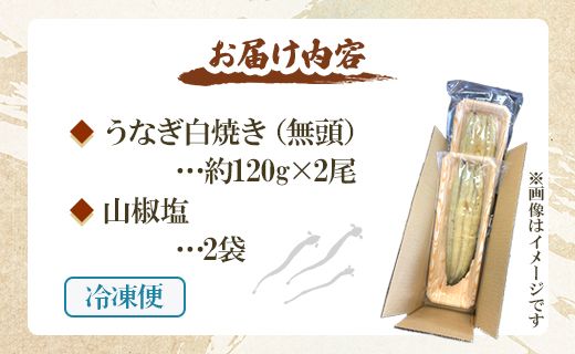 定期便 2回 うなぎ 白焼き 国産 120g 2尾 (無頭) 魚介 国産 海鮮 魚 かばやき 鰻 ウナギ 惣菜 おかず お手軽 加工品 加工食品 冷凍 Wun-0035