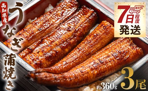 [7日程度で発送]国産 うなぎ 蒲焼 120g✕3尾セット(無頭) スピード発送 ウナギ 鰻 夕飯 食卓のお供 うなぎ屋きた本 un-0015