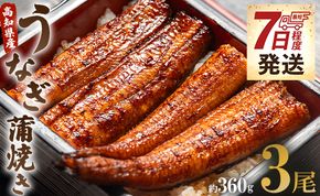 【7日程度で発送】国産 うなぎ 蒲焼 120g✕3尾セット(無頭) スピード発送 ウナギ 鰻 夕飯 食卓のお供 うなぎ屋きた本 un-0015