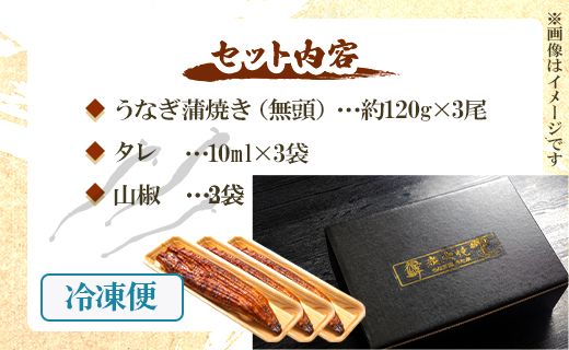 【7日程度で発送】国産 うなぎ 蒲焼 120g✕3尾セット(無頭) スピード発送 ウナギ 鰻 夕飯 食卓のお供 うなぎ屋きた本 un-0015