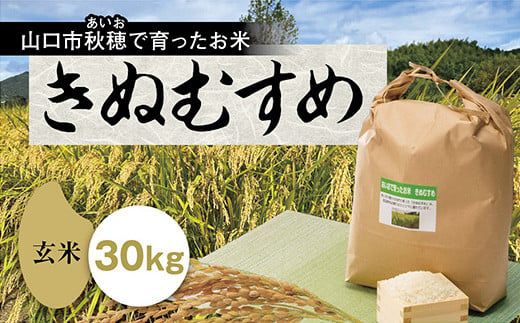 令和5年産 新米きぬむすめ 30キロ 玄米 6袋限定(令和5年産 令和5年産 新米きぬむすめ 30キロ 玄米 6袋限定(令和5年産