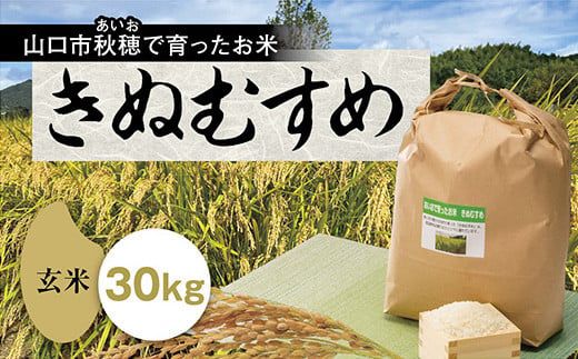 B067 あいお（秋穂）で育ったお米 きぬむすめ 玄米30kg（山口県山口市） | ふるさと納税サイト「ふるさとプレミアム」