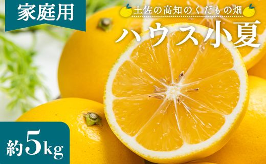 [2026年出荷分]小夏(日向夏) 5kg 訳あり 高知 家庭用 土佐 ハウス小夏 訳あり こなつ 果物 フルーツ 土佐の高知のくだもの畑 [先行予約] - 柑橘 おいしい 国産 甘い kd-0030