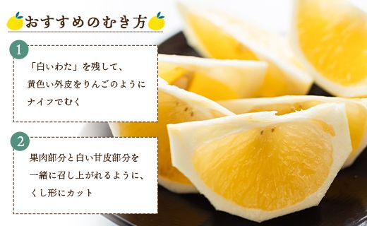 ハウス小夏 2.5kg(家庭用) - 家庭用 訳あり 小夏 ハウス ミカン みかん 蜜柑 柑橘 果物 フルーツ こなつ 国産 kd-0012