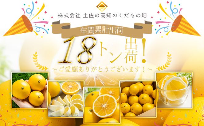 【2026年出荷分】【日向夏】ハウス小夏 2.5kg(ギフト用) 高知 土佐 こなつ 果物 フルーツ 土佐の高知のくだもの畑 【先行予約】 kd-0031