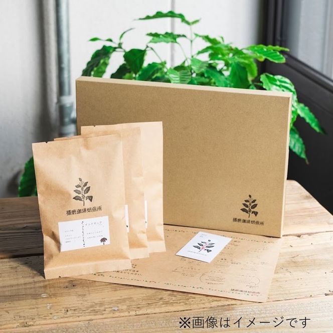 播磨ブレンド《 コーヒー 珈琲 オリジナルブレンド 焙煎豆 挽き豆ドリップパック 》【2500G11401】