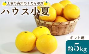 ハウス小夏5kg(ギフト用) 高知 土佐 こなつ 果物 フルーツ 土佐の高知のくだもの畑 【先行予約】 - 柑橘 おいしい 国産 贈答用 お礼 御礼 kd-0010