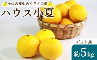 ハウス小夏5kg(ギフト用) 高知 土佐 こなつ 果物 フルーツ 土佐の高知のくだもの畑 【先行予約】 - 柑橘 おいしい 国産 贈答用 お礼 御礼 kd-0010