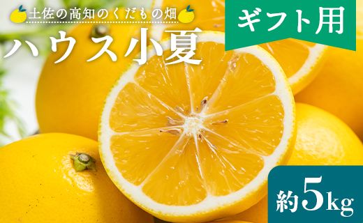 [2026年出荷分][贈答用]ハウス小夏(日向夏) 5kg 高知 土佐 こなつ 果物 フルーツ 土佐の高知のくだもの畑 [先行予約] - 柑橘 おいしい 国産 贈答用 お礼 御礼 kd-0032