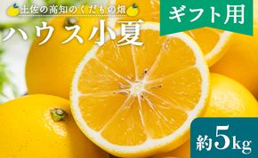 日向夏 小夏【2026年出荷分】【贈答用】ハウス小夏(日向夏) 5kg 高知 土佐 こなつ 果物 フルーツ 土佐の高知のくだもの畑 【先行予約】 - 柑橘 おいしい 国産 贈答用 お礼 御礼 kd-0032