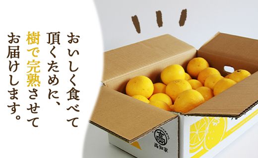 ハウス小夏 2.5kg(家庭用) - 家庭用 訳あり 小夏 ハウス ミカン みかん 蜜柑 柑橘 果物 フルーツ こなつ 国産 kd-0012