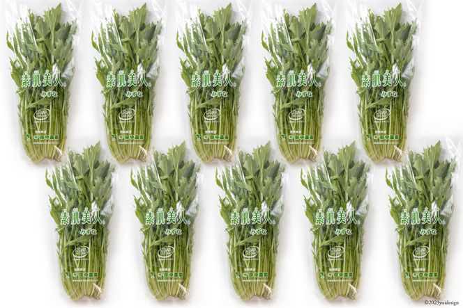 【BH016】水菜 150g×10束