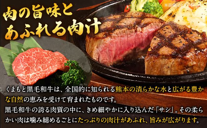 くまもと黒毛和牛 ヒレステーキ 選べる内容量 150g 300g 450g 600g 牛肉 冷凍 《90日以内に出荷予定(土日祝除く)》 くまもと黒毛和牛 黒毛和牛 冷凍庫 個別 取分け 小分け 個包装 ステーキ肉 にも ヒレステーキ---oz_fhire_90d_r7_12000_150g---