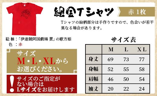 ふるさと納税 服 高知県 香南市 絵金Tシャツ＆クリアファイル＆ペーパークラフトのセット - ティーシャツ 洋服 半袖 送料無料 のし対応不可 赤 赤T 赤好き Red… 絵金Tシャツ＆クリアファイル＆ペーパークラフトのセット