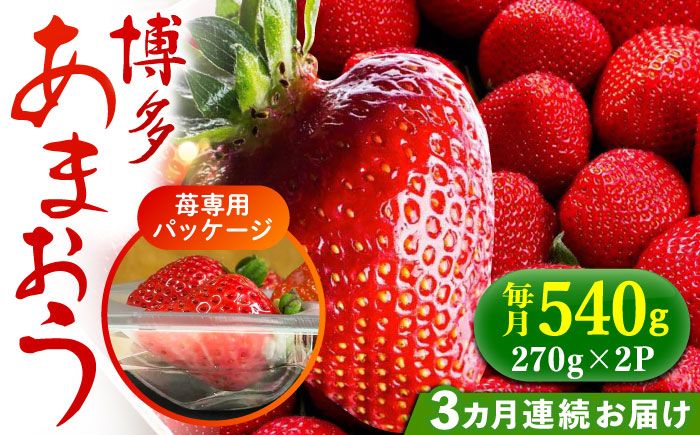 [2025年2月より順次発送][全3回定期便]農家直送 朝どり新鮮いちご[博多あまおう]約270×2パック[築上町][株式会社H&Futures][ABDG008]