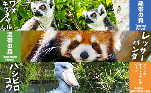 のいち動物公園の年間入園券引換券 ni-0003