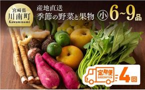 野菜 【定期便】産直おすず村 季節の野菜と果物 厳選 詰め合わせセット（小）【 旬野菜 フルーツ 直売所 産地直送 宮崎県産 】ⅢⅩ [G3802]
